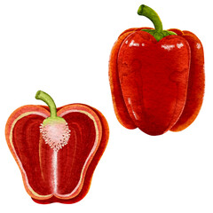 Illustration of whole red bell pepper clipart and one sliced bell pepper in watercolor style