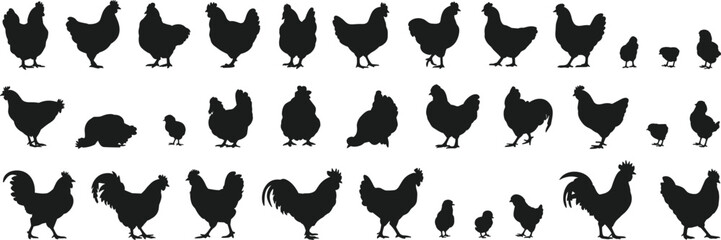 Chicken silhouette vector set including roosters hens and chicks for farm agriculture and poultry design