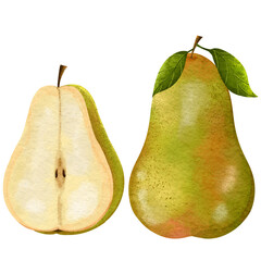 Illustration clipart Watercolor Whole green pear and Half slice 