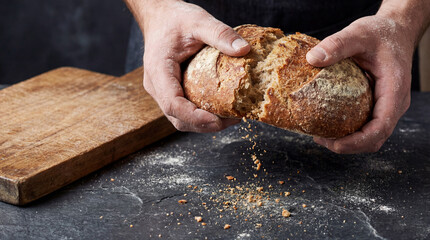 Hands Breaking Fresh Loaf of Rustic Bread with Crumbs Falling