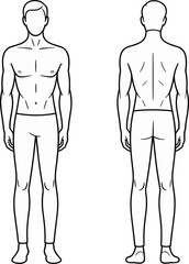 Vector illustration of male body anatomy showing front and back views standing pose for fashion design templates and medical charts isolated on white background.