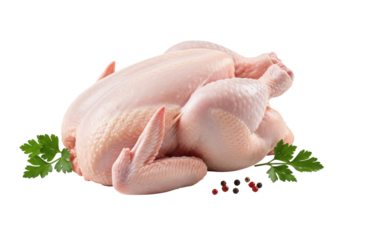 Whole raw broiler chicken ready for preparation, garnished with fresh parsley sprigs and peppercorns, isolated on transparent background