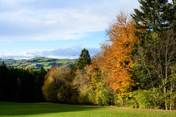 Autumn in the Mostviertel