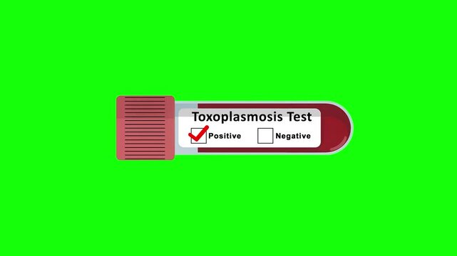 Toxoplasmosis test tube positive result animation on a green screen background for parasitic disease detection and laboratory diagnostics
