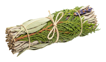 Herbal smudging bundle natural home rituals organic plants zen isolated on transparent background