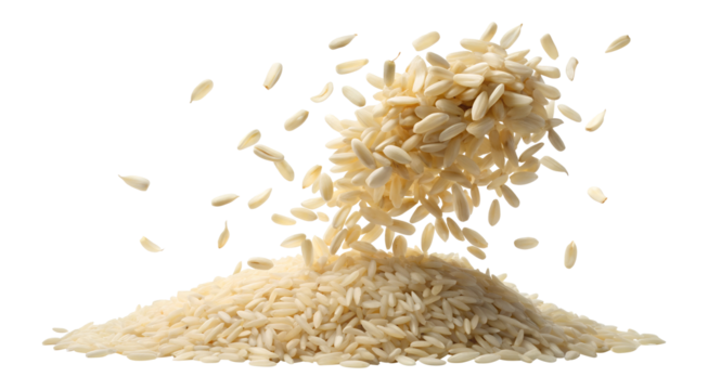 Falling white rice grains create a dynamic food display on transparent background PNG
