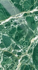 Fototapeta premium Elegant Dark Green Marble Stone Texture with White Veins and Golden Accents as a Luxurious Background for Interior Design Projects and Surface Finishes