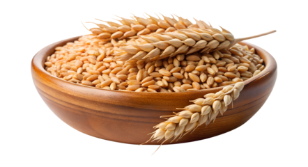 Wheat grains and ears in wooden bowl, isolated food crop on transparent background PNG