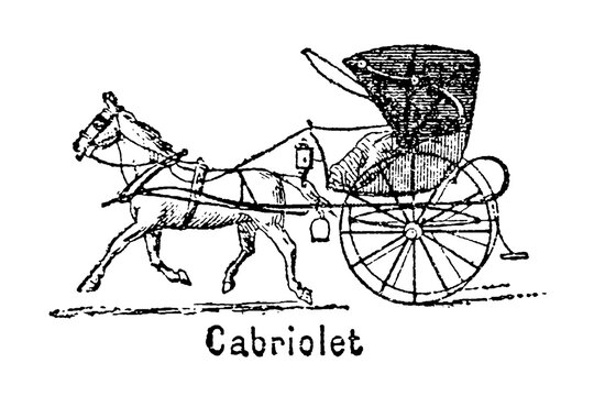 Cabriolet carriage drawn by single horse, 1830s light transport, convertible-top design, old vintage illustration, 1897.
