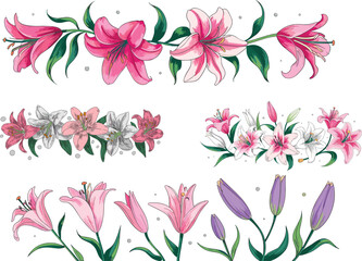 Beautiful decorative floral border illustration with pink and white lilies, hand drawn botanical design for invitations, wedding decor, greeting cards, patterns