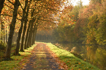 Voie pietonne et cyclable en automne , les bords du Canal de Nantes à Brest, la riviere Oust en...