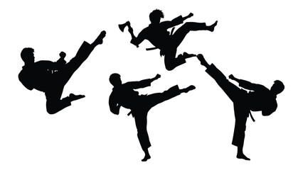 Dynamic martial arts silhouettes with axe isolated on white background, Vector