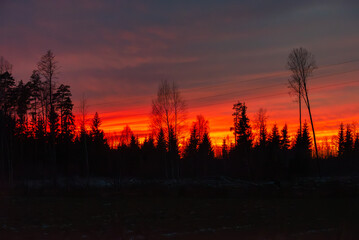Intense red-orange sunset behind a dark forest silhouette, with tall bare trees and faint power lines under moody clouds.