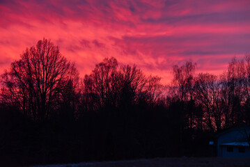 Vivid pink-red sunset sky with streaky clouds above leafless tree silhouettes, winter landscape and a small house corner.