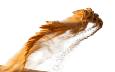 Detailed close up of a dry textured desert sand dune with wind patterns isolated on transparent background
