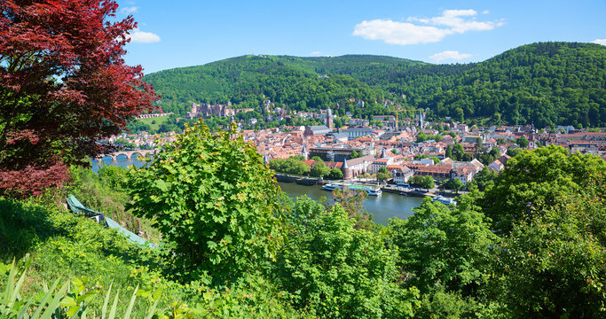 View of Heidelberg's old town and castle from the Philosopher's walkway