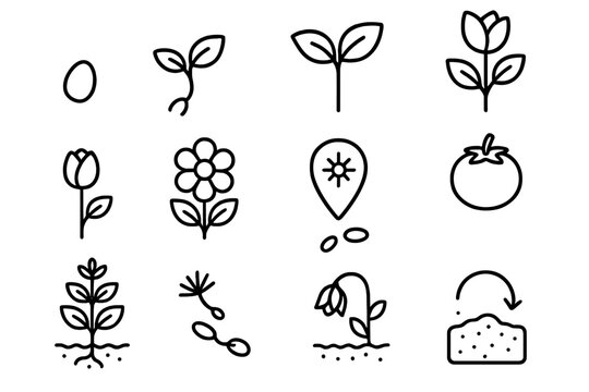 Life Cycle Icons. Life Cycle Set linear icon set: seed icon, sprouting shoot, young leaf, growing stem, budding flower, blooming stage, pollination marker, fruit form, mature plant