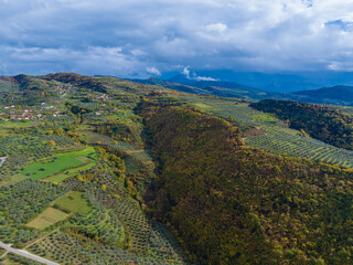 Albania village panoramic drone view olive plantation