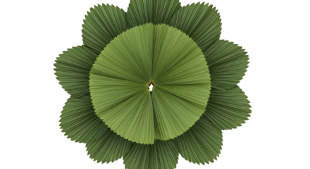 Green Leaf Pattern on White Background.