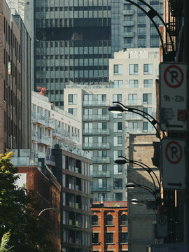 City in Summer