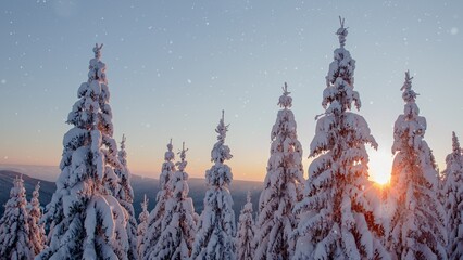 Aerial view of beautiful winter mountains with fresh powder snow
