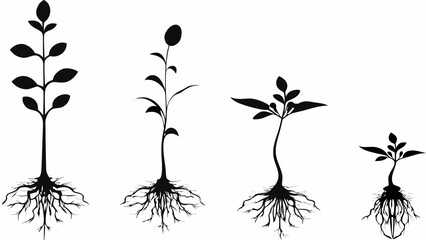 Illustrative plant growth stages, from seed to full plant, symbolizing progress and development with organic, botanical elegance from scalable vector art