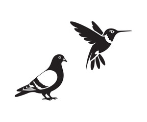 Bird Silhouette Vector | Hummingbird and Pigeon Icon Design