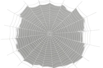 Obraz premium Spider web or cobweb illustration with transparent background, perfect for halloween, nature, and spooky designs