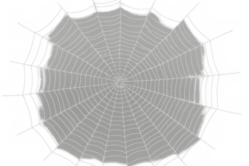 Spider web or cobweb illustration with transparent background, perfect for halloween, nature, and spooky designs