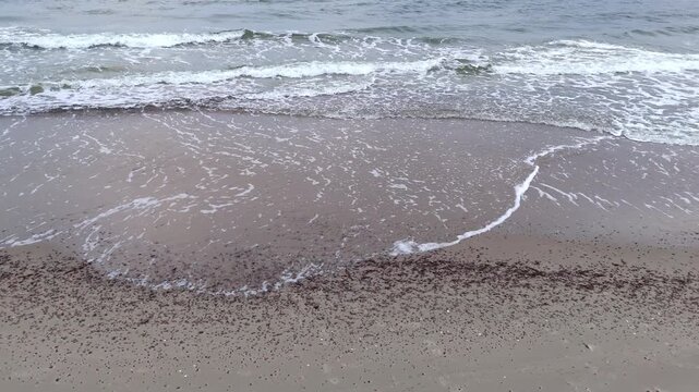 Plaża, nadmorski krajobraz widziany z drona. Polska.

