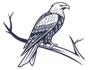 Fototapeta premium Kite Bird Vector Illustration on White Background