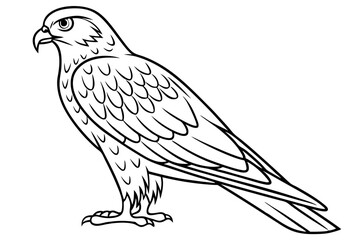 Fototapeta premium Elegant Harrier Bird Silhouette Detailed Vector Art