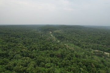 Fototapeta premium Deep jungle grasslands and misty mountains of Valmiki Tiger Reserve in Bihar, featuring dense forests, rich biodiversity and untouched natural landscapes perfect for wildlife and nature imagery.