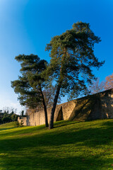 Fototapete bei efototapeten.de bestellen   