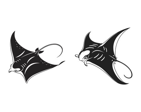 A black and white illustration of two majestic manta rays with flowing tails, depicted in a dynamic, underwater scene