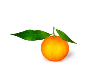 Tangerine fruit isolated on a white background, contour