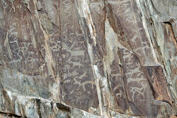 Rock petroglyphs in the Kalbak-Tash tract. Altai Republic