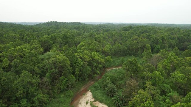 Valmiki Tiger Reserve in Bihar is a dense forest landscape known for its rich wildlife and serene terrain. Drone and ground visuals capture lush greenery, riverine belts, grasslands, and habitats of t