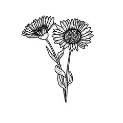 black and white flower