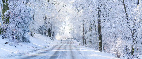 Winter landscape with snow-covered trees and road