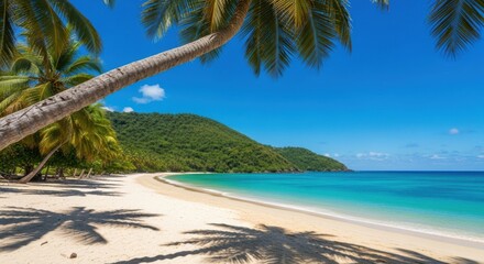 Serene remote island beach with leaning palm trees casting shadows on soft white sand beside calm turquoise water and a lush green forested hill under a clear blue sky