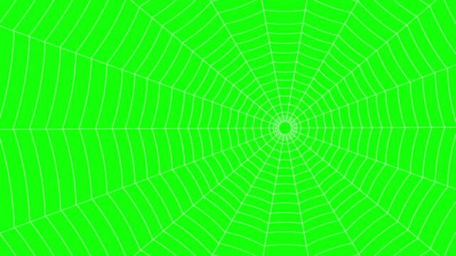 Outline vector spider web on green background. Seamless animation of rotation movement.