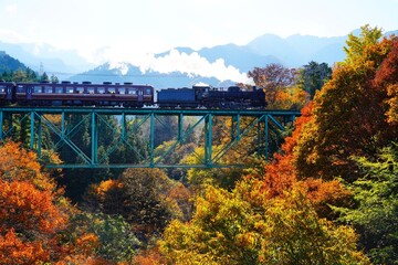 鉄橋を渡る蒸気機関車