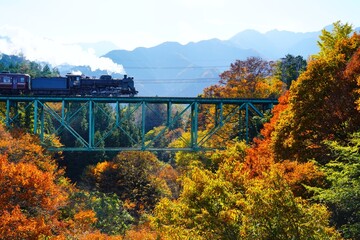 鉄橋を渡る蒸気機関車