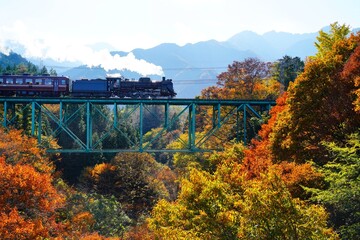 鉄橋を渡る蒸気機関車
