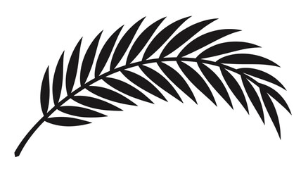 Obraz premium Black silhouette of a fern frond on a white background