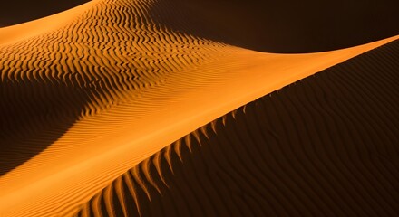 An abstract composition of the wind-swept ripples in the sand of the Sahara desert.
