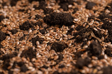 the details of the brown fertile soil with the addition of ripe flax seeds to obtain a new crop, a...