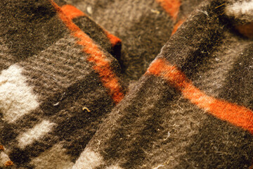 A close-up of a moth caterpillar moving across fabric. The moth caterpillar eats the fabric. Moth...