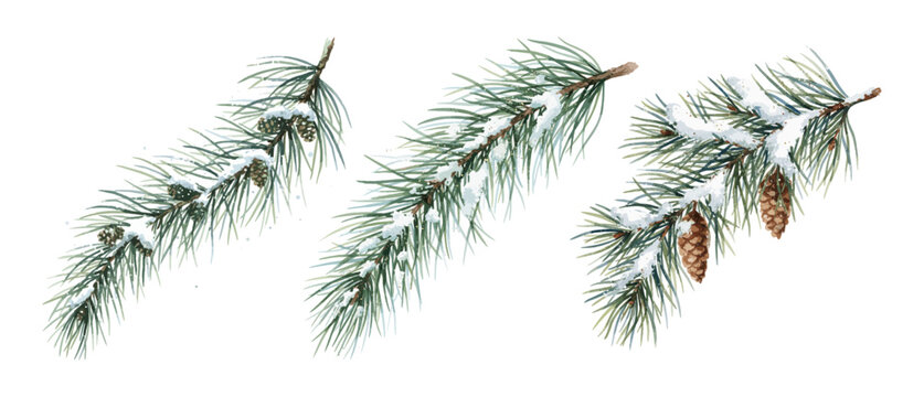 Set of watercolor illustrations of snowy pine branches with pinecones, perfect for winter and Christmas designs.